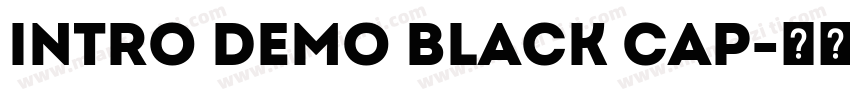Intro Demo Black Cap字体转换